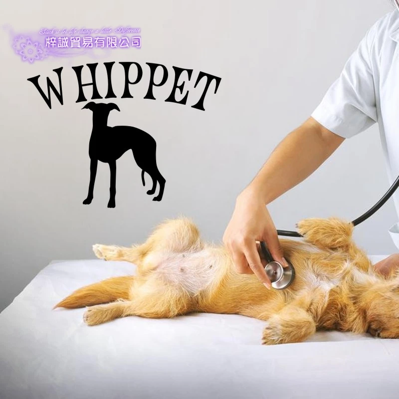 Pet Shop наклейка с собакой виппет плакаты виниловые настенные художественные