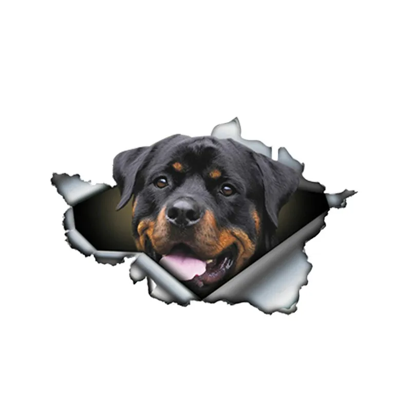 

Dawasaru Funny Rottweiler Car Sticker Torn Metal Decal Reflective Stickers Pet Dog Decals 3D Rott Car Styling 13cm*8cm