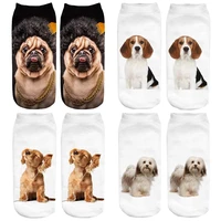 hot selling 3d printing women socks puppy design fashion unisex kawaii dogs corgi bulldog animal low ankle kids funny sock
