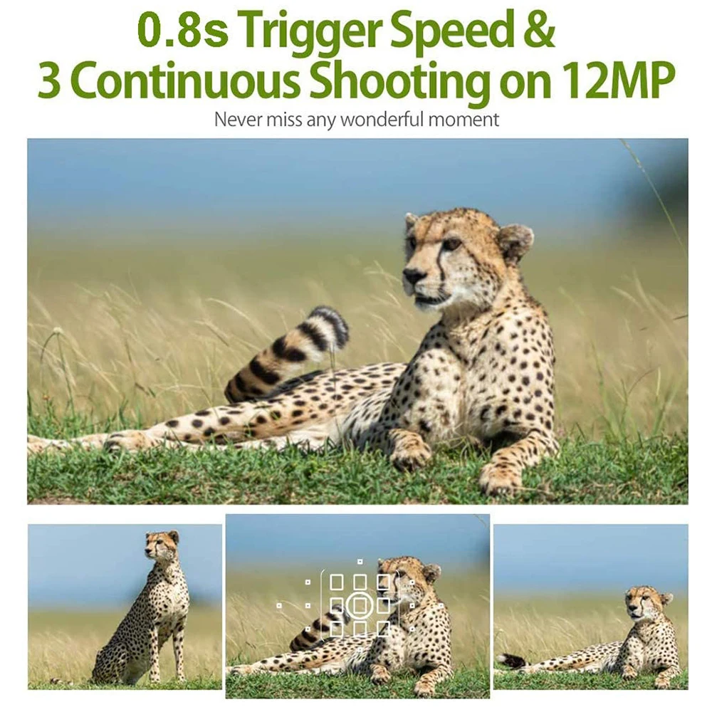 PR100 охотничья тропа 12 Мп Новая камера для обнаружения диких животных s HD