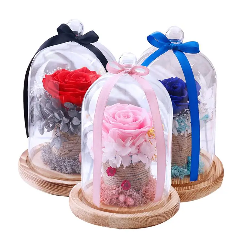

Preserved Rose Glass Cover Eternal Rose Glass Cover Valentine's Day Gift Rose Glass Cover Gift DIY for Girlfriends Wife