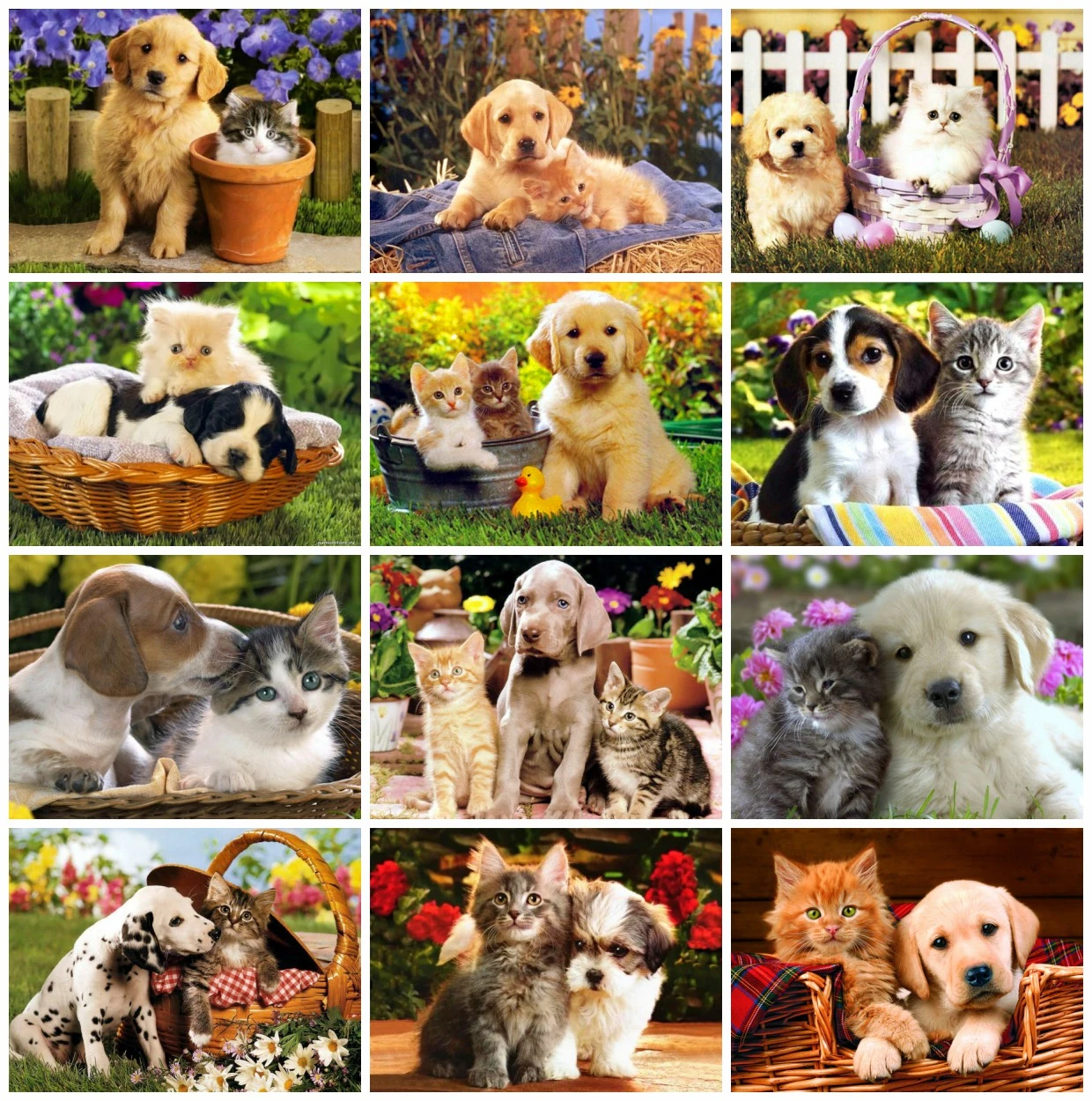 

Алмазная 5D картина с изображением собак, полное алмазное искусство, вышивка крестиком, мозаика с изображениями животных, украшение для дома