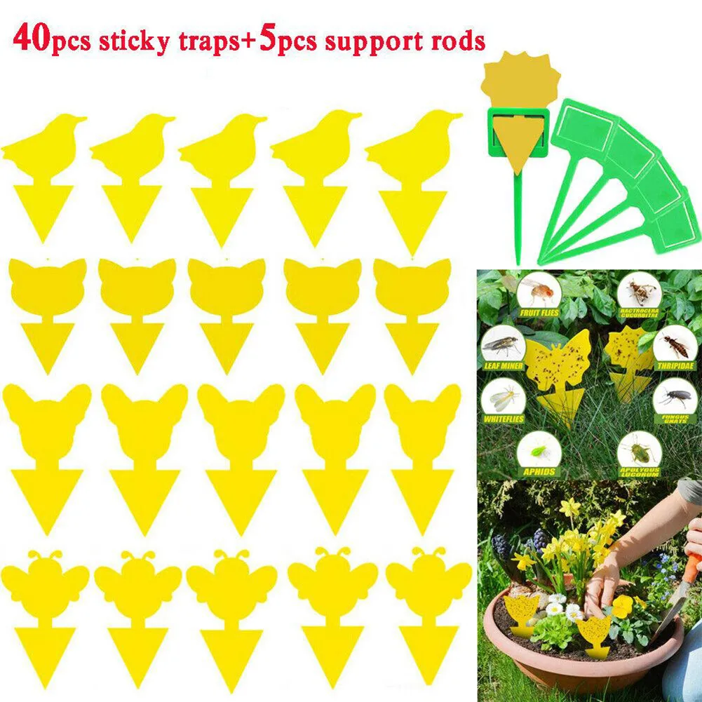 

Office Sticky Trap Patio Waterproof 45PCS Catcher Fruit Fly And Fungus Gnat