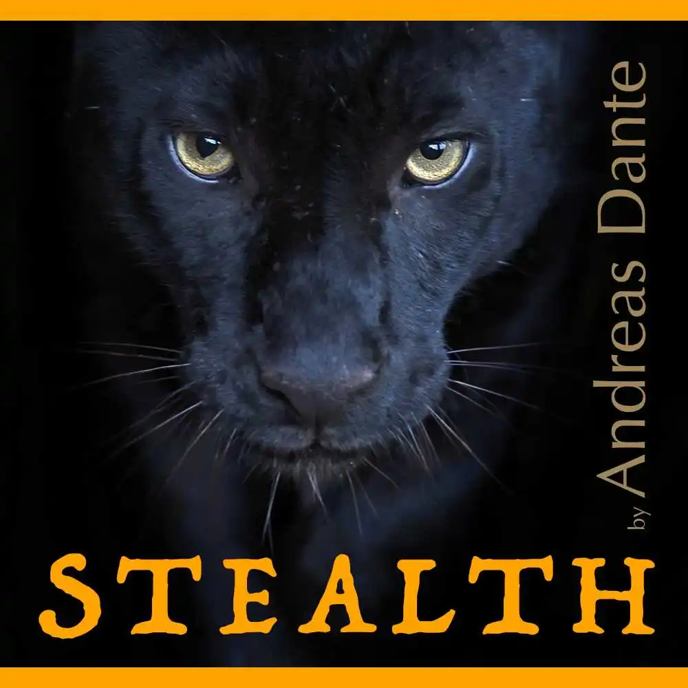 

2020 Andreas Dante Stealth - Magic Tricks