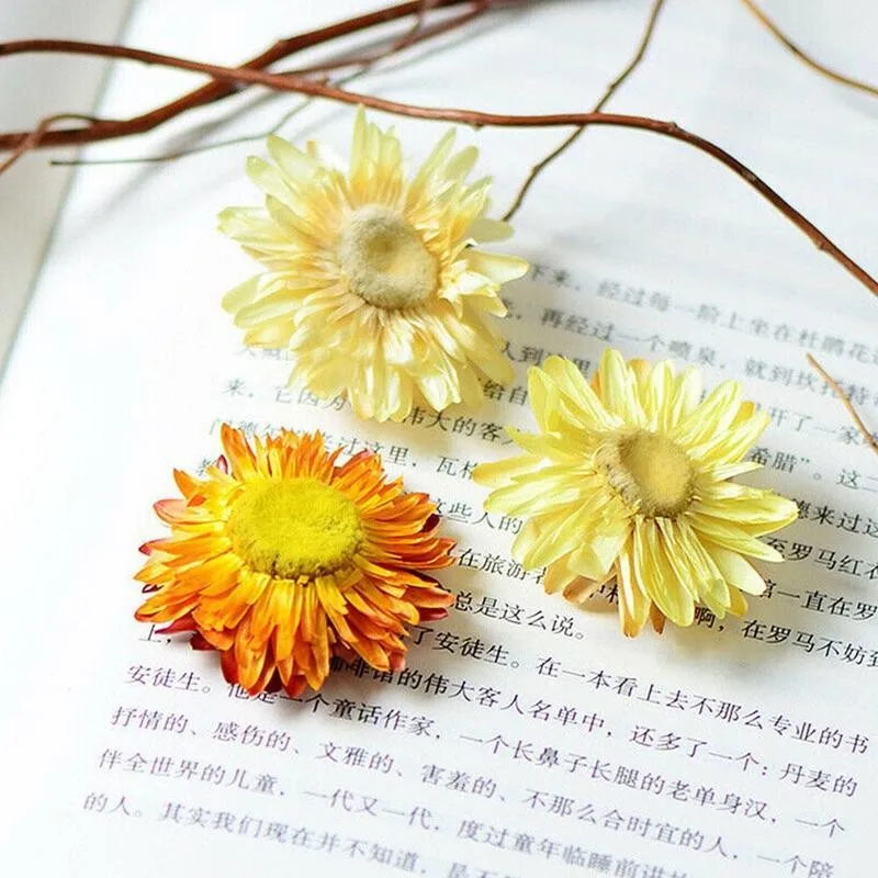 

Colorful Chrysanthemum Daisy Flower Head Natural Dried Bracteata Dry Daisy Flowers&colorful Bracteantha Flowers Diy Tea L3L8