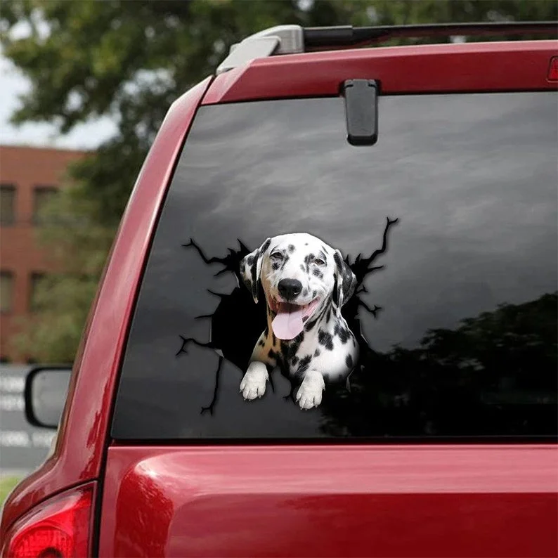 

DALMATIAN Sticker, Dalmatian Dog Cracks Decals For Car WIndow, Funny Magnet, Vinyl Labels For Door, Wall, Laptop, Broken