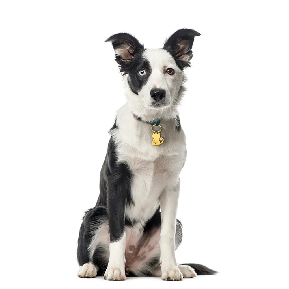 

Personalized Dog ID Keychain Pet Name Phone Number Gender Pet ID for Cat Puppy Dog Collar Tag Keyring Pet Cat Keychain