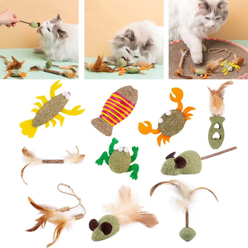 

Cat Play Toys Cute Bite-Resistant Catnip Cat Interactive Toy Cat Toy Pet Supplies Funny Cat Toys Safe Environmentally Friendly