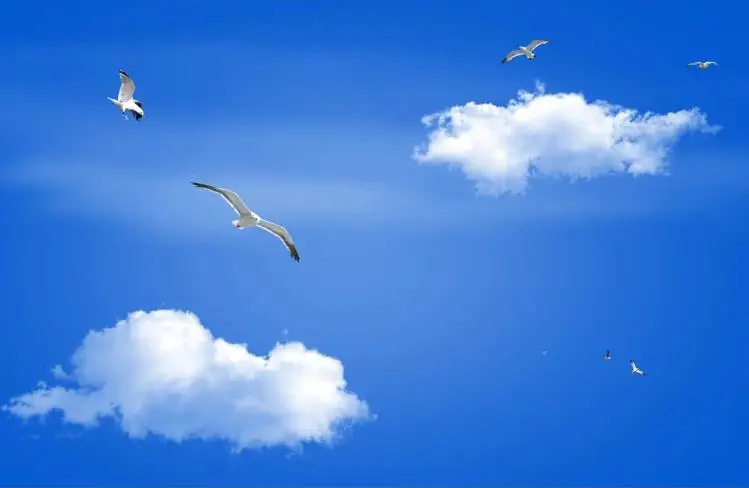 Красивый морской пейзаж далённая Гора тема Космос весь дом обои 3D фото роспись