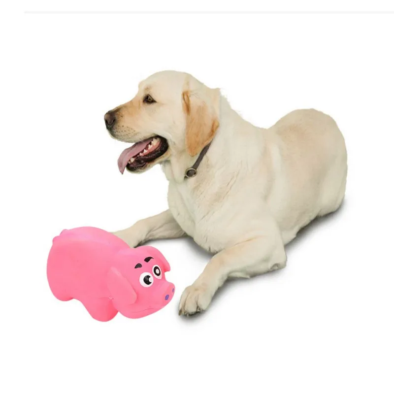 Игрушка для собак молярные зубы вокальный латекс милая форма свиньи жевательные