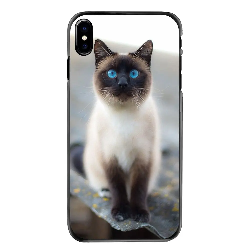 Blue Point The Traditional Siamese Cat For Samsung Galaxy A3 A5 A7 A8 J1 J2 J3 J5 J7 Prime 2015 2016 2017 Accessories Case Cover |