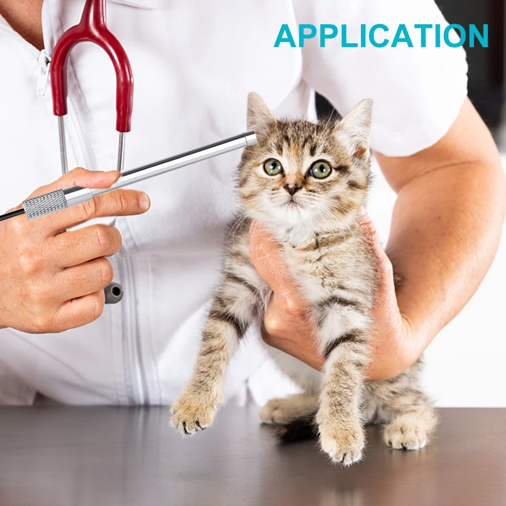 

6mm IP67 Waterproof USB Cleaning Pets Otoscope Professional 1 To 200X Portable 1280x720p Kids Adults 8 LED Lights HD Ear Camera