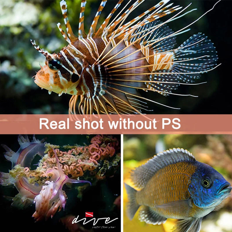 Профессиональный фонарь для дайвинга D36VR оссветильник ительный прибор