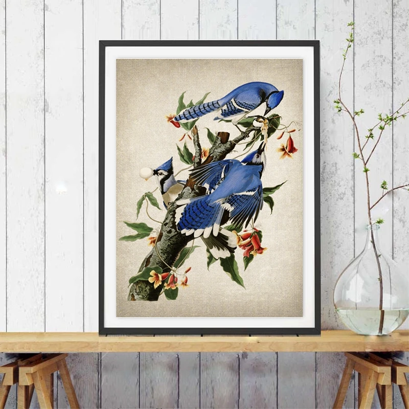 Art Prints Columbia Vintage Bird Illustration Poster Canvas Painting Blue Pictures for Living Home Room Decor Wall | Дом и сад