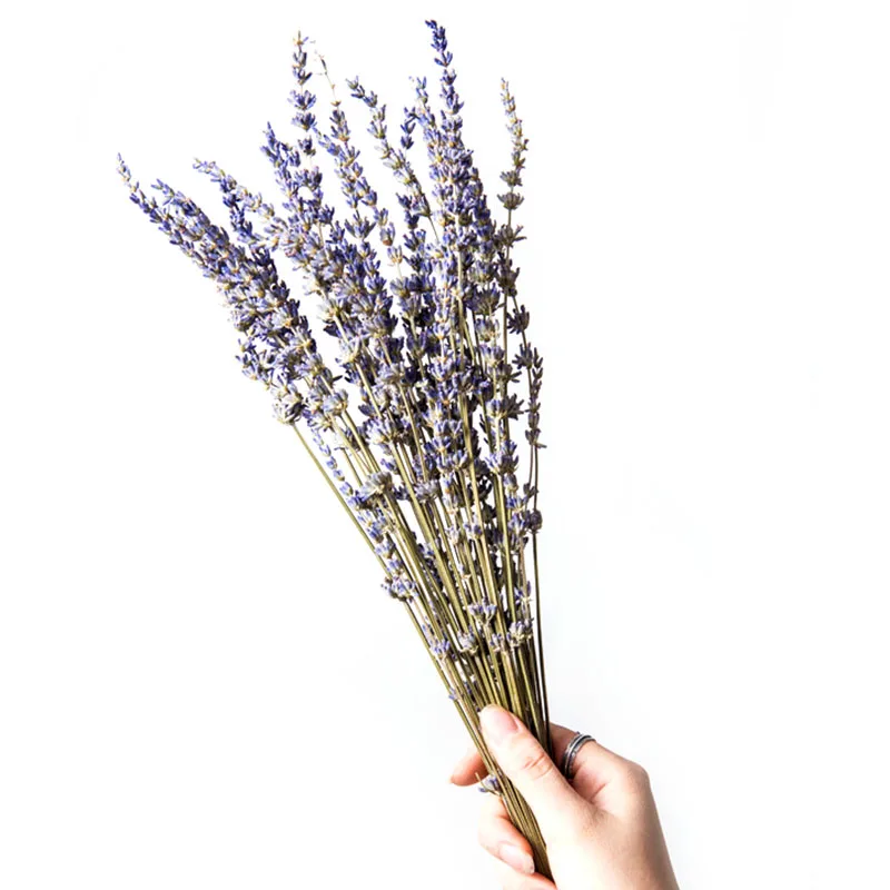

Dried Lavender Bouquet DIY Hand-Dried Flowers Furnishings Photo Props for Home Living Room Decoration L9