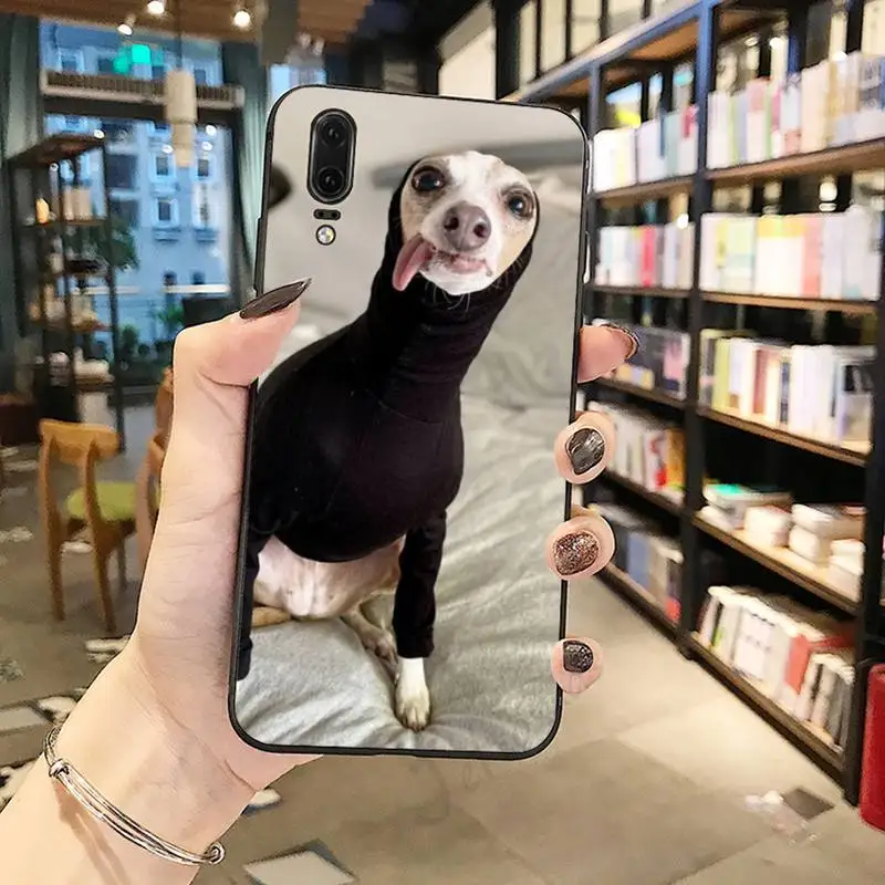 

Funny Galgo Greyhound Dog Phone Cases For Huawei honor Mate P 10 20 30 40 Pro 10i 9 10 20 8 x Lite
