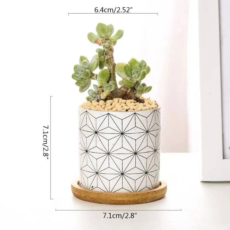 

Succulent Plant Pots, Cylindrical Ceramic Planter for Cactus,Succulent Plant