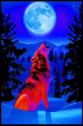 

WOLF MOON Art Film Print Silk Poster Home Wall Decor 24x36inch