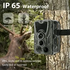 Охотничья камера HC801, камера ночного видения 16 МП, водонепроницаемая, для леса, дикой природы, фотоловушки, камера видеонаблюдения