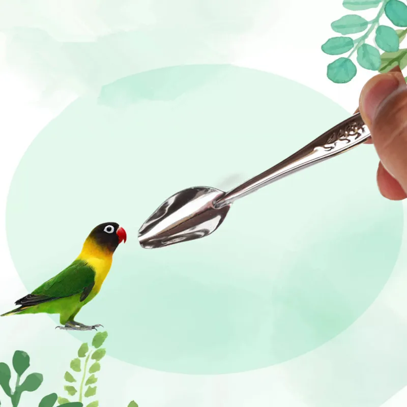 Кормушки для птиц из нержавеющей стали кормушка кормления Budgie ложки воды молока