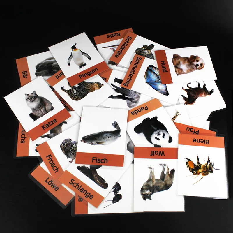 Немецкие y Детские просвещения немецкие карты с животными Ранние обучающие