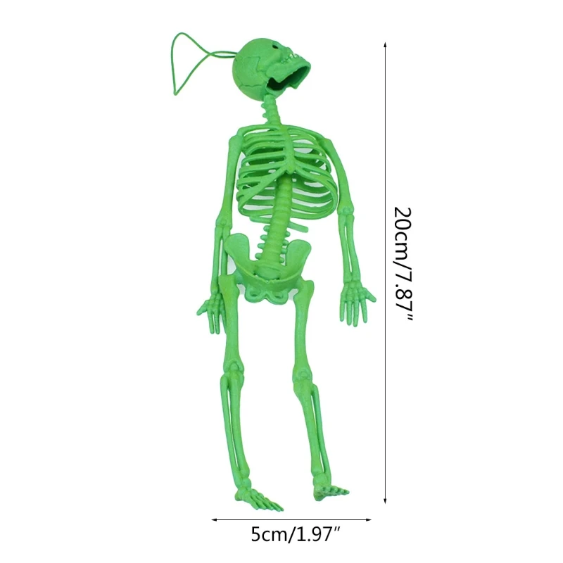 

H55B 3 Pcs Human Skull Skeleton Halloween Model Funny Tricks Key Chain Toy Game Keychain Decor Party Prop Toys Keyring