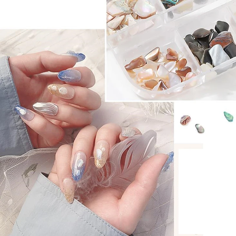 1 коробка ногтей раковина абалона фрагменты текстура натурального Sea Shell 3d