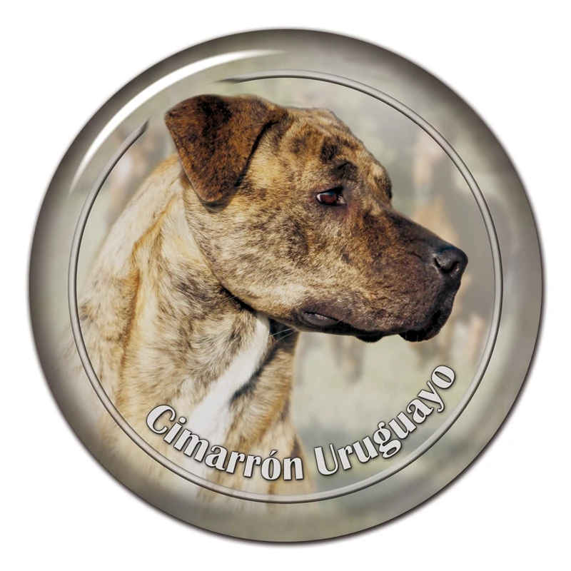 

B0819# 13CM/17CM Self-Adhesive Decal Cimarron Uruguayo Dog Car Sticker Decors on Bumper Rear Window Laptop