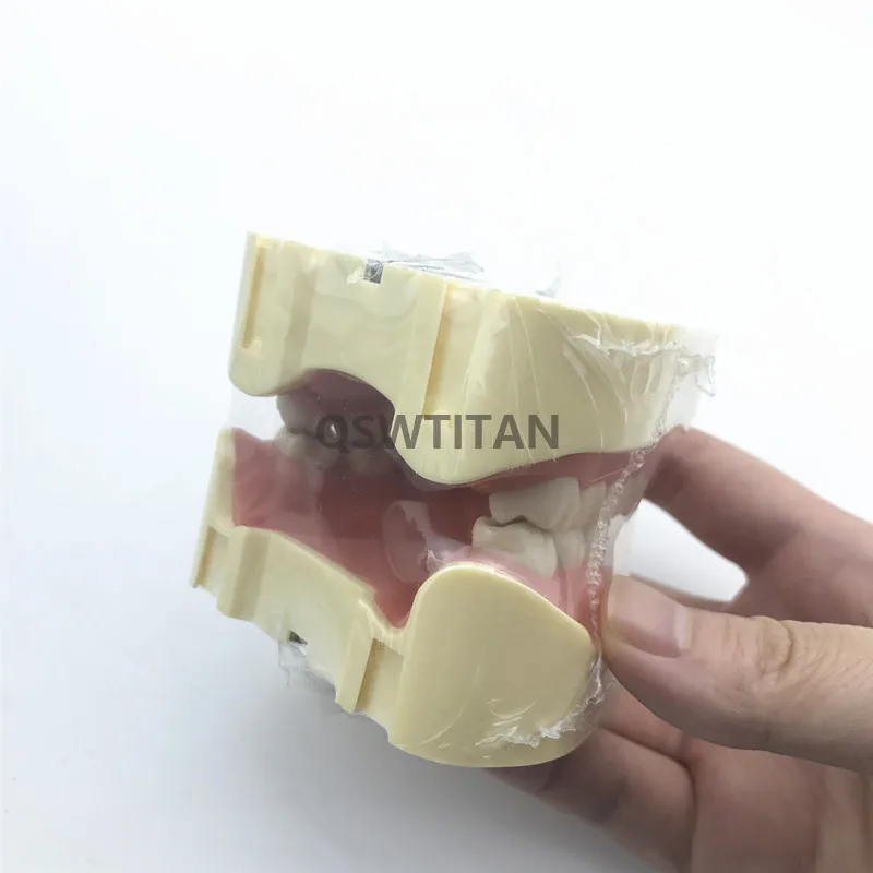 Стоматологический симулятор модель обучающего оборудования|Стоматологическая