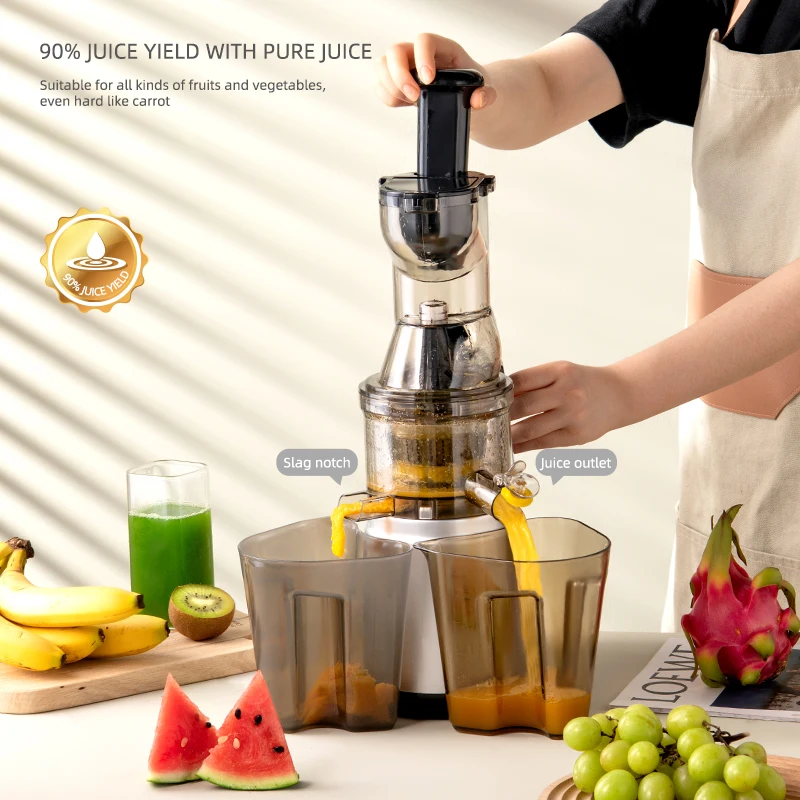 ROSPEC Медленный соковыжималка шнековая 7-сегментные винтовые холодные прессы для