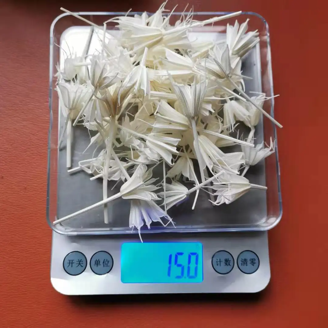 

15g/about 35-40pcs,Natural Dried flower head,Eternal flower Material DIY arrange Wedding Party Home Decoration accessories,