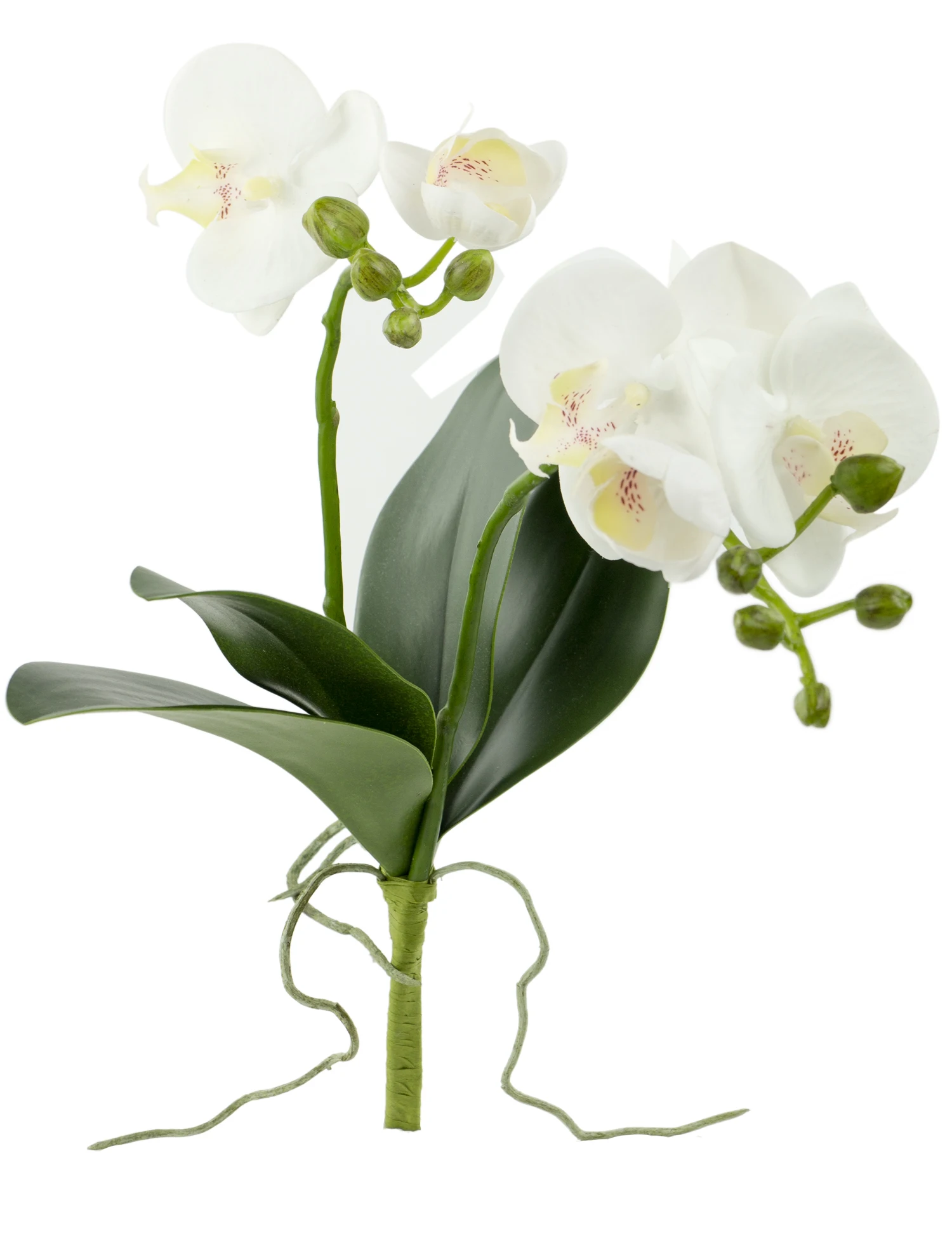 Искусственные орхидеи моли фиолетовые шелковые цветы фаленопсиса спрей с