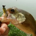 Рыболовный крючок со свинцовой головкой, 1-20 г, 50 шт.