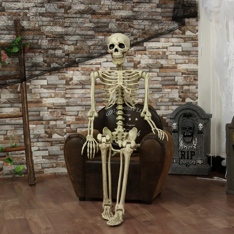 1Pcs Halloween Prop Human Skeleton Full Size Skull Hand Life Body Anatomy Model Decor JPDZS759 | Дом и сад