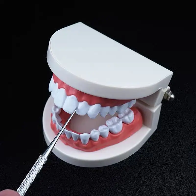 

Portable stainless steel Toothpick, fruit fork, household tooth extractor, outdoor household travel sealed storage container box