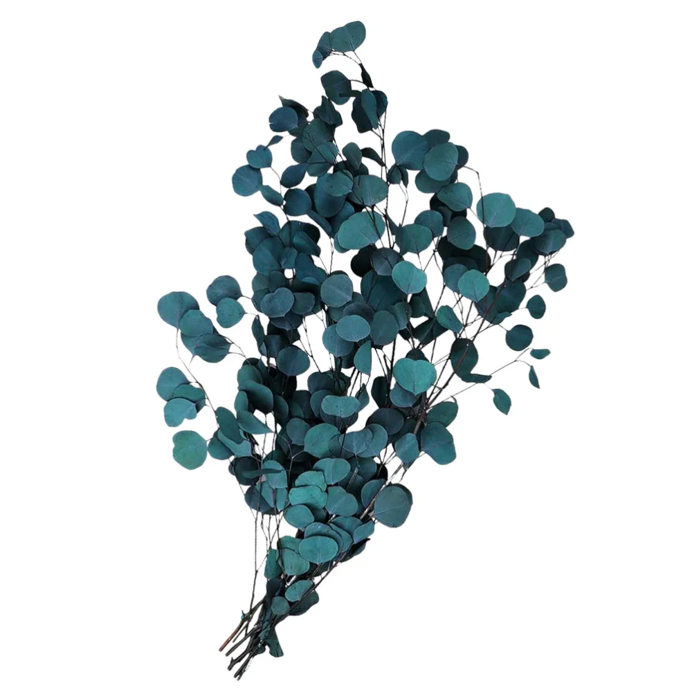 

Artificial Eucalyptus Leaves Dried Natural Eucalyptus Leaves Flower (Blue)