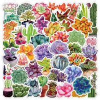 50pcs not repeating succulents stickers kawaii plant waterproof luggage laptop scooter refrigerator watercup graffiti decoration