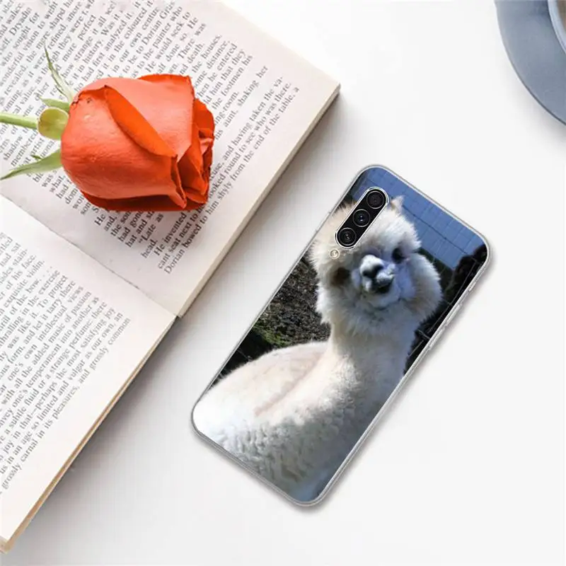 

cute Lama Llama Alpacas Animal Phone Case For Samsung A S M Note 9 10 20 fe 21 71 30 ultra plus 5g 11 31 51 s