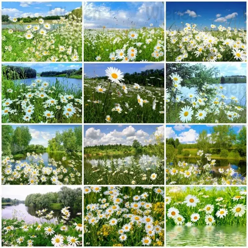 

Green Natural Scenery Diamond Painting Decor Painting 5D DIY Diamond Embroidery Cross Stitch Kit White Daisy Flower Meadow Pictu