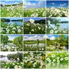 Картина для вышивки крестиком, Набор для вышивки крестиком из зеленых натуральных фотографий, 5D сделай сам, с белыми маргаритками, цветами, лугом, картиной