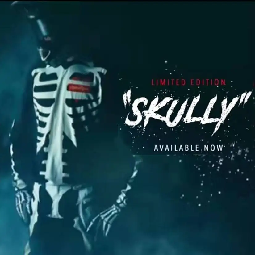 2020 Troy Lee Designs LIMITED SKULLY набор снаряжения для мотокросса MX мото комплекты ATV Dirt Bike