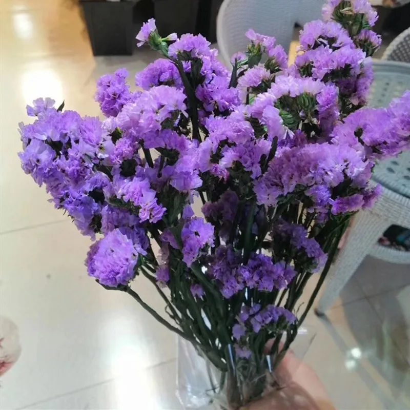 

Class A Forget-Me-Not Dried Flowers Multicolor Forest Fleur Sechee Naturelle Home Decoration Wedding Party Plants Accessories