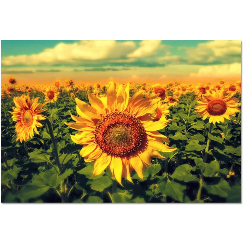 

New Arrival Custom Sunflower Poster Home Decoration Fashion Silk Fabric Wall Poster Customize Poster 2020.6.15