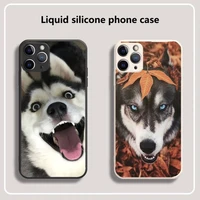 animal dog husky phone case for iphone 13 12 11 mini pro xs max xr 8 7 6 6s plus x 5s se 2020