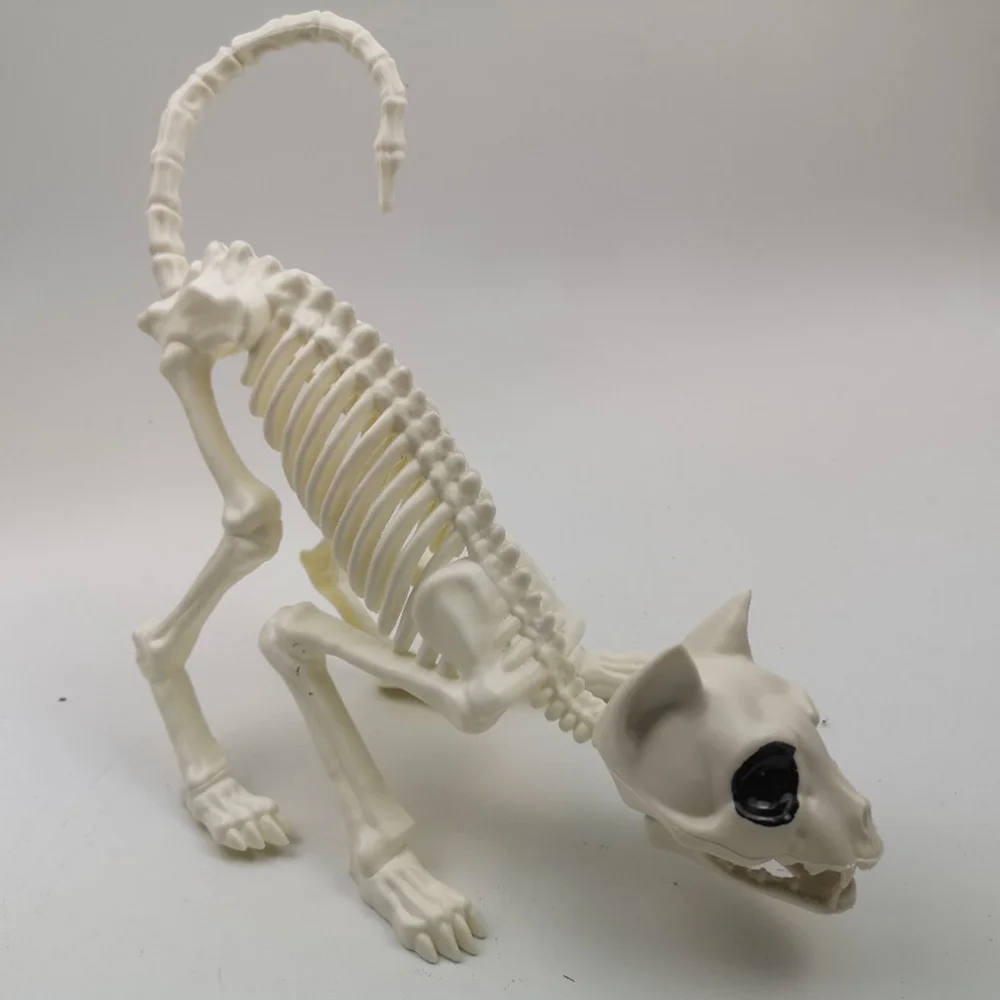 

1Pc Crouching Cat Skeleton Cat Model Creepy Animal Bones for Decoration (White)