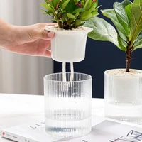 automatic water absorbing and water storing small flower pot transparent hydroponic double layer flower pot for garden decoratio