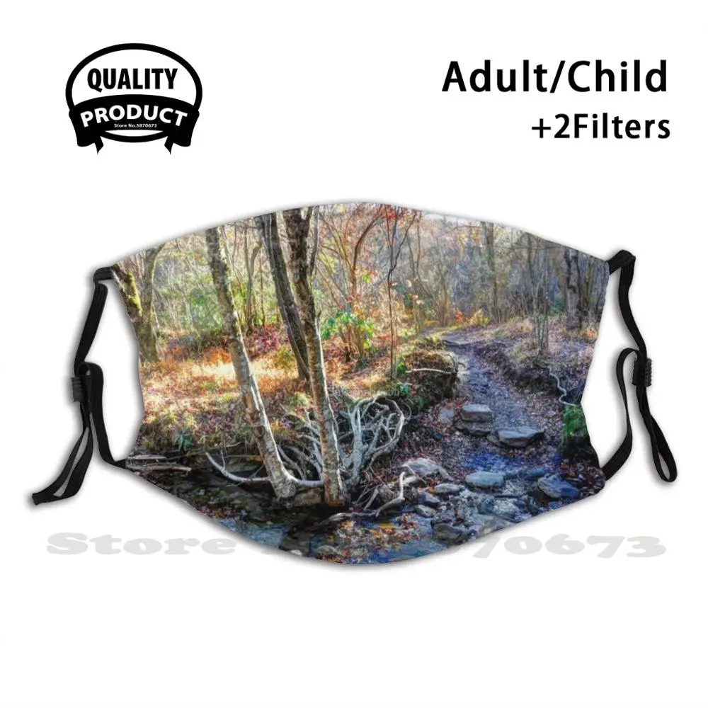 Осенняя маска для лица с фильтром осень Северная Каролина дымчатые горы деревья