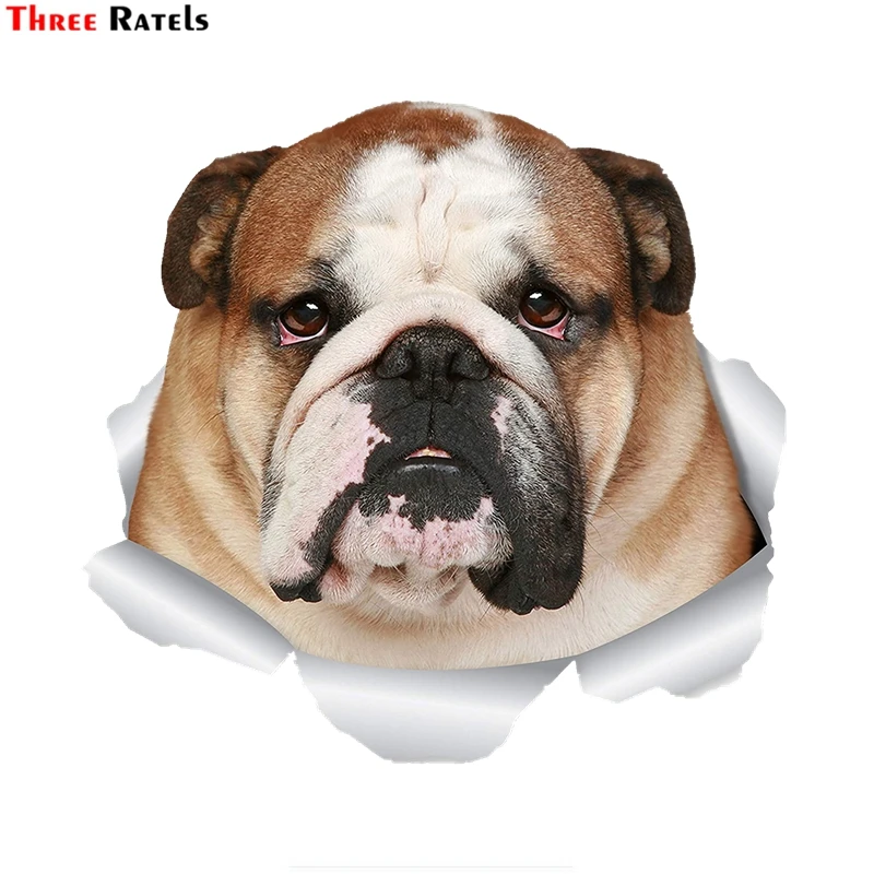 

Three Ratels FTC-1067 Funny British English Bulldog 3D Car Sticker Dog Decal For Wall Toilet Room Luggage Skateboard Laptop