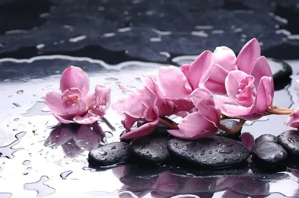 

JMINE Div 5D Orchid flower stone Full Diamond Painting cross stitch kits art High Quality Floral 3D paint by diamonds