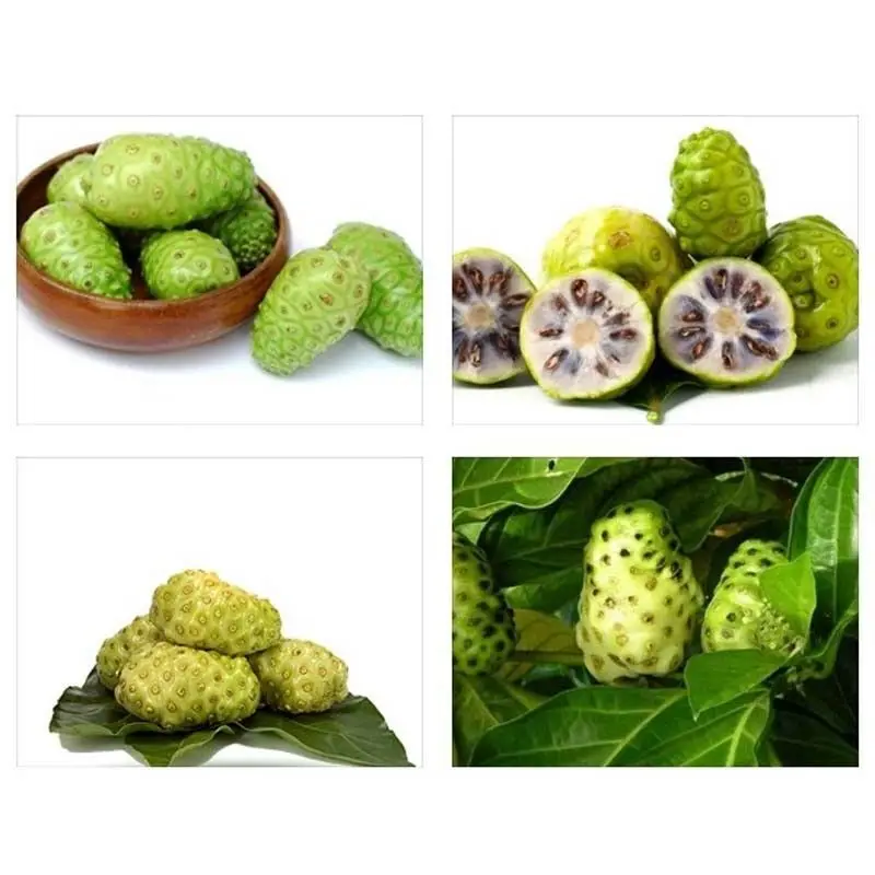 

300 g (10.58 ounces) morinda citrifolia , anti-inflammatory, immune, health food